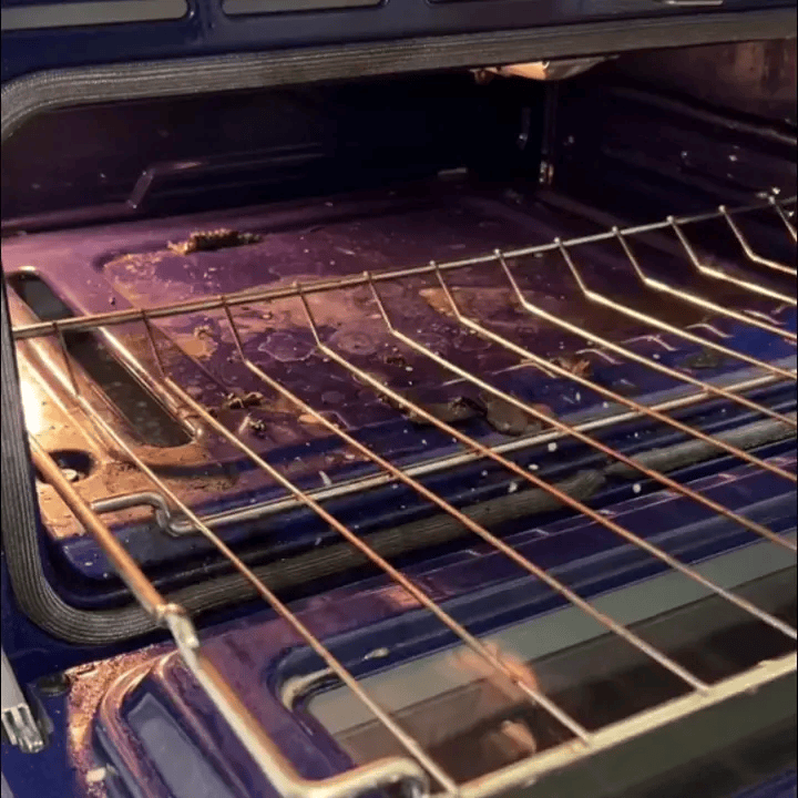 Original VaporJet Pro